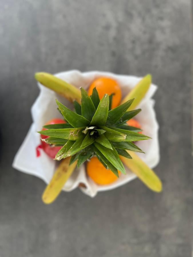 Caunes-MinervoisAu Perchoirアパートメント エクステリア 写真