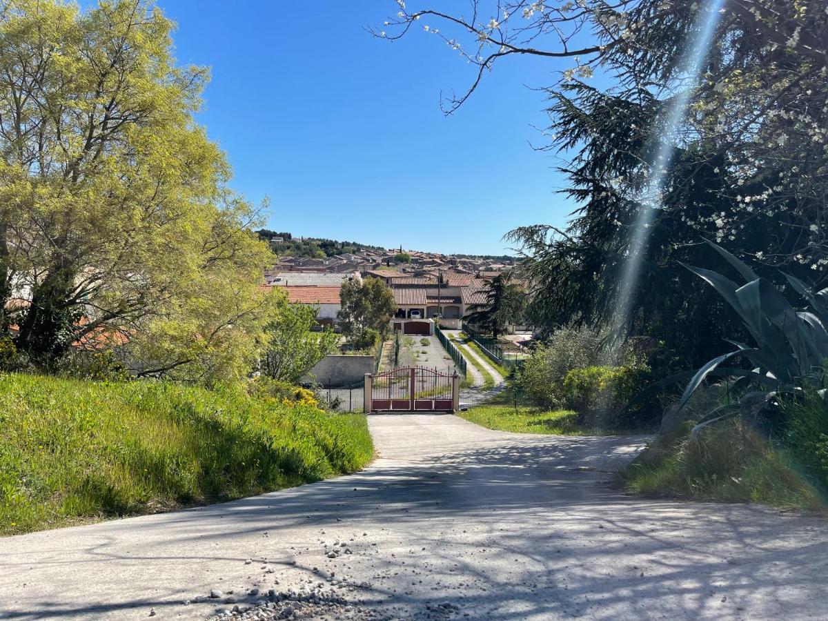 Caunes-MinervoisAu Perchoirアパートメント エクステリア 写真
