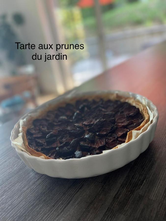 Caunes-MinervoisAu Perchoirアパートメント エクステリア 写真