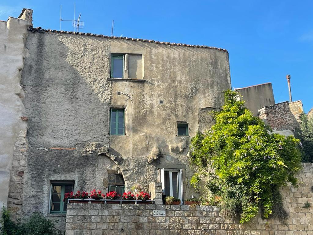 Caunes-MinervoisAu Perchoirアパートメント エクステリア 写真
