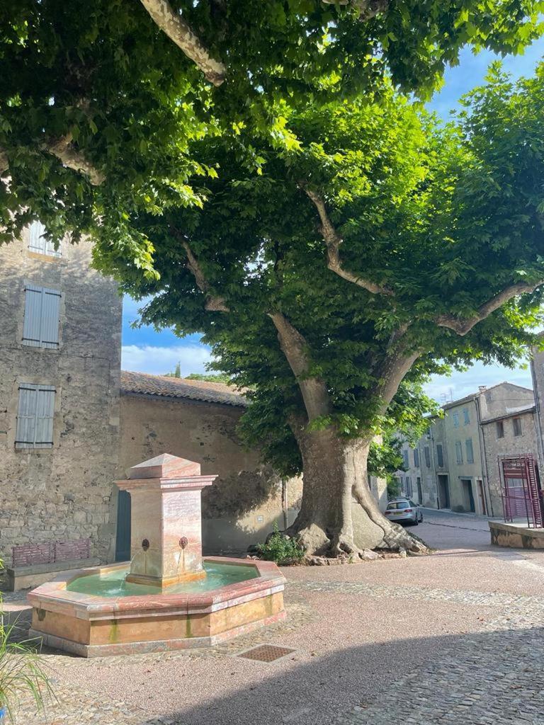 Caunes-MinervoisAu Perchoirアパートメント エクステリア 写真